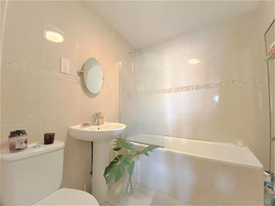 Picture 7